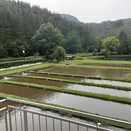 Zimmer Ohne Fruehstueck In Der Forellenzucht Burgen  Exterior foto
