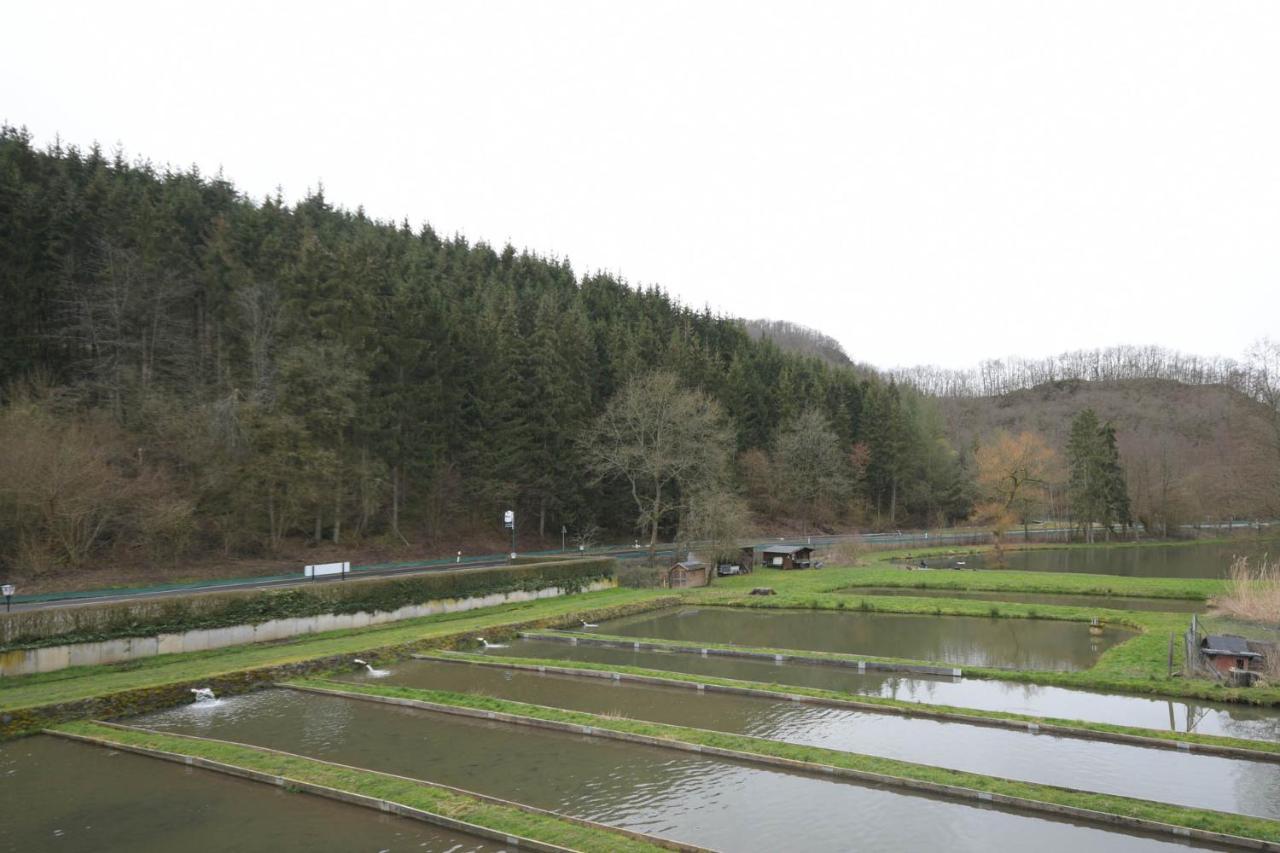 Zimmer Ohne Fruehstueck In Der Forellenzucht Burgen  Exterior foto