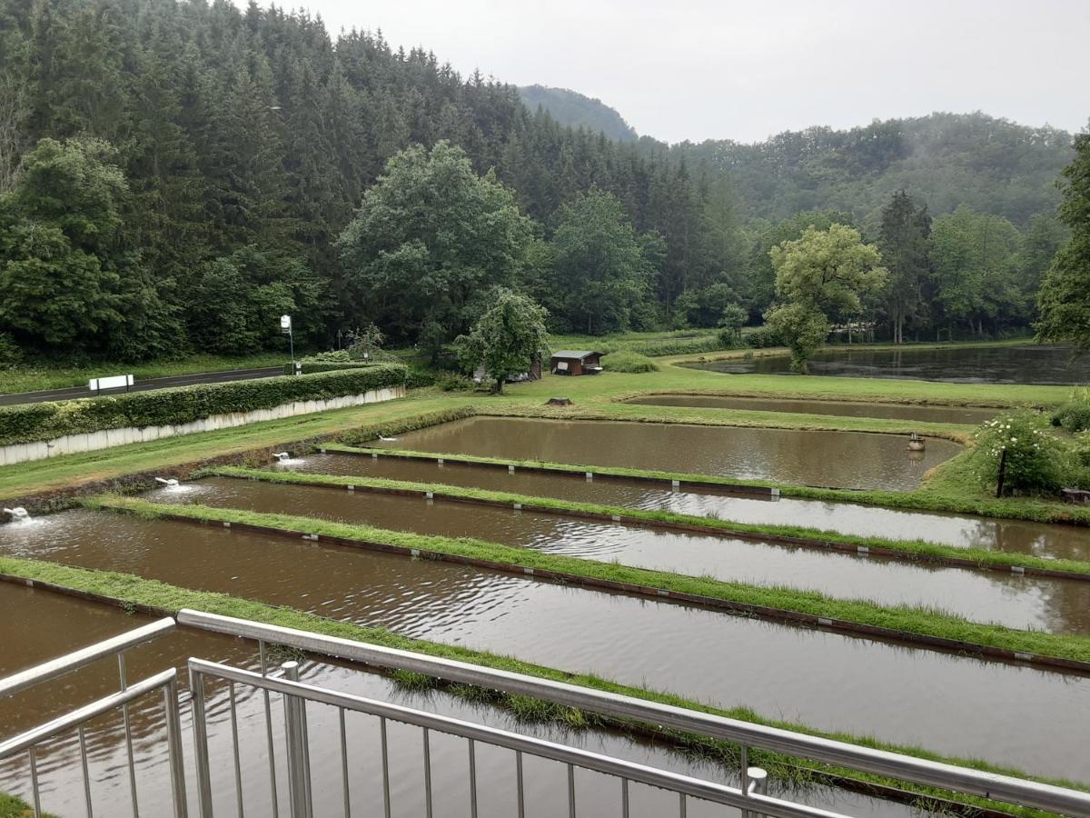 Zimmer Ohne Fruehstueck In Der Forellenzucht Burgen  Exterior foto