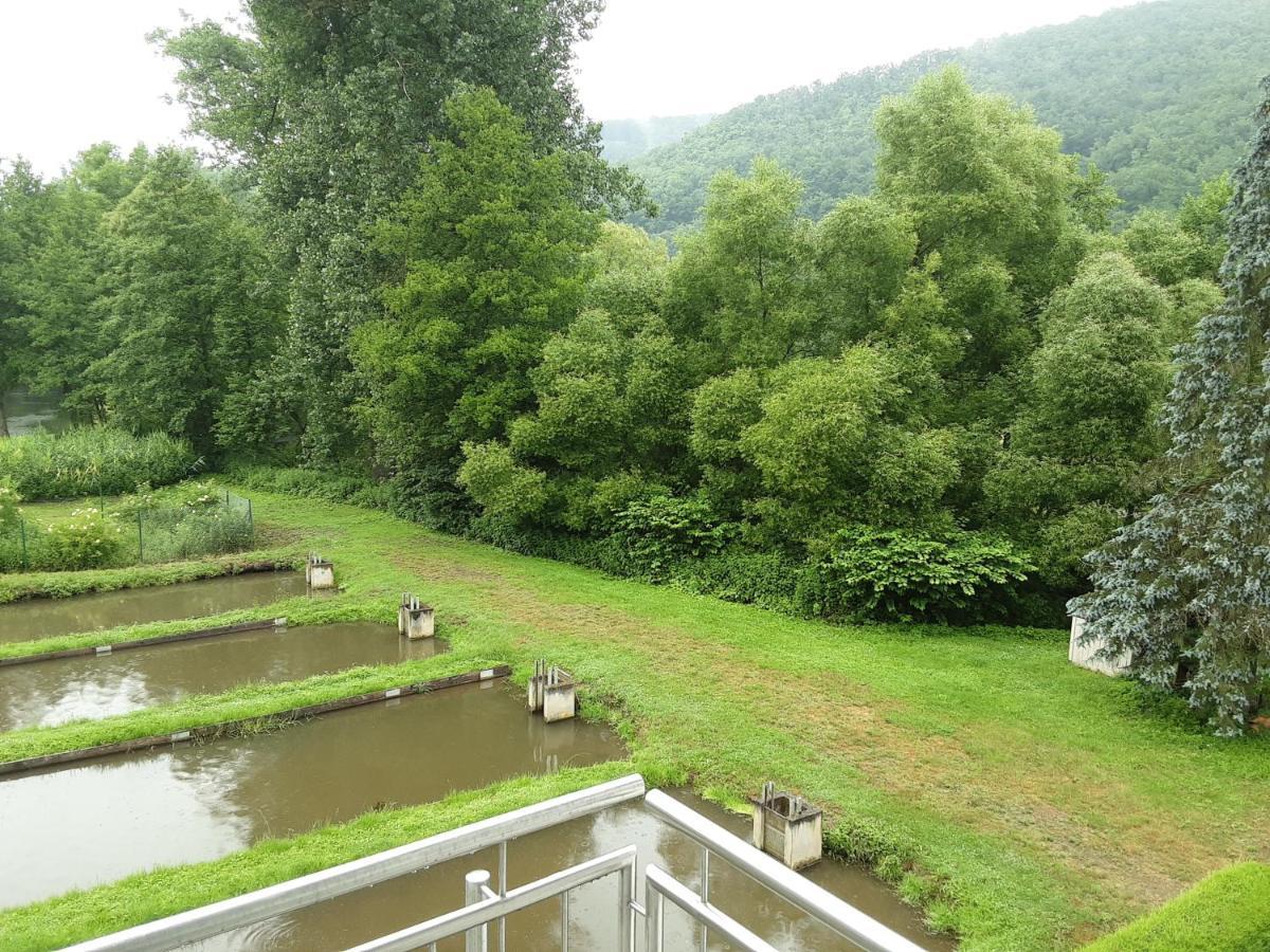 Zimmer Ohne Fruehstueck In Der Forellenzucht Burgen  Exterior foto
