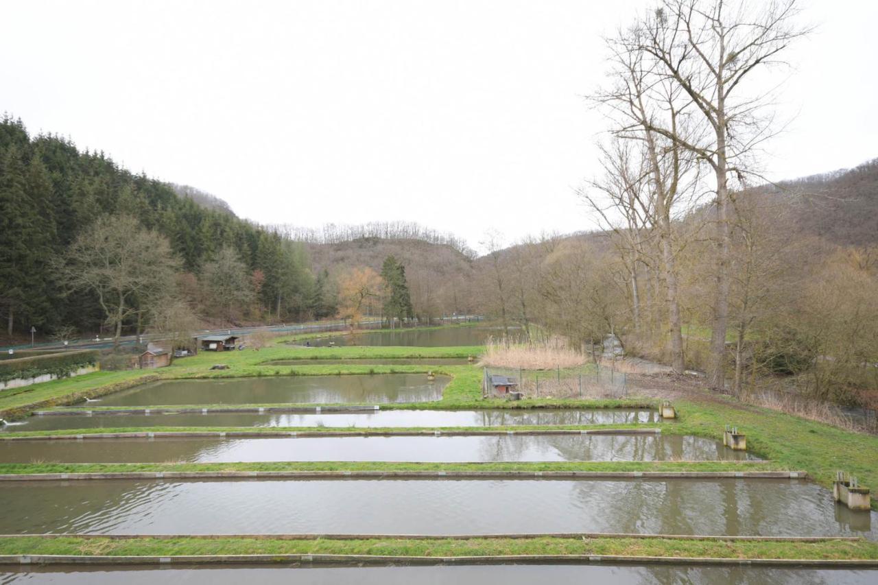 Zimmer Ohne Fruehstueck In Der Forellenzucht Burgen  Exterior foto